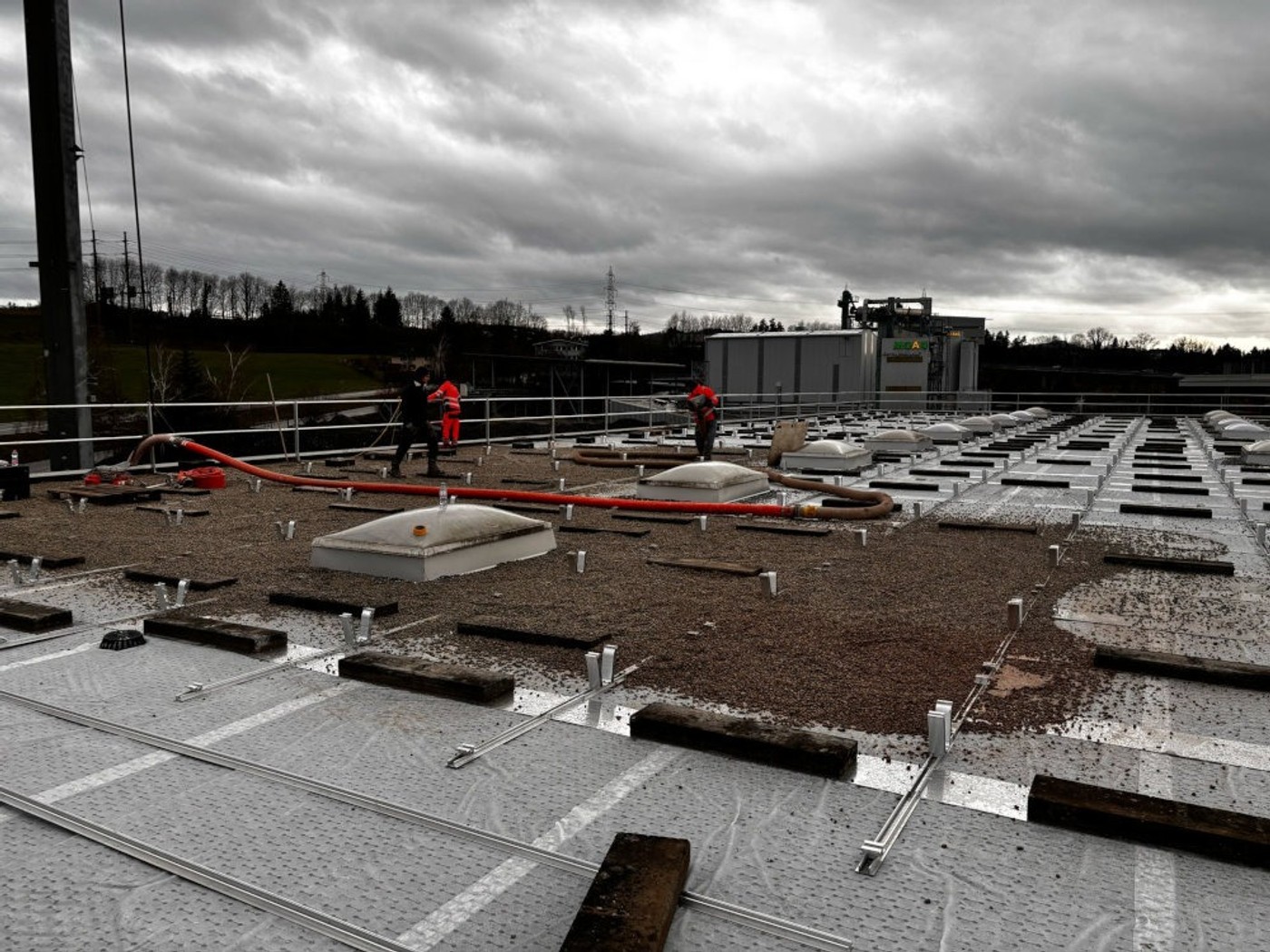 20250325 03 Kies.jpg